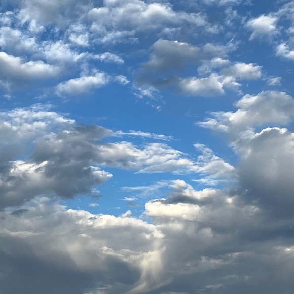 Meet your Posher, Evonne - Picture 1 of 1